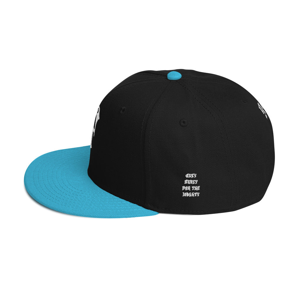 FLYWLKR "OBFTM" Snapback Hat