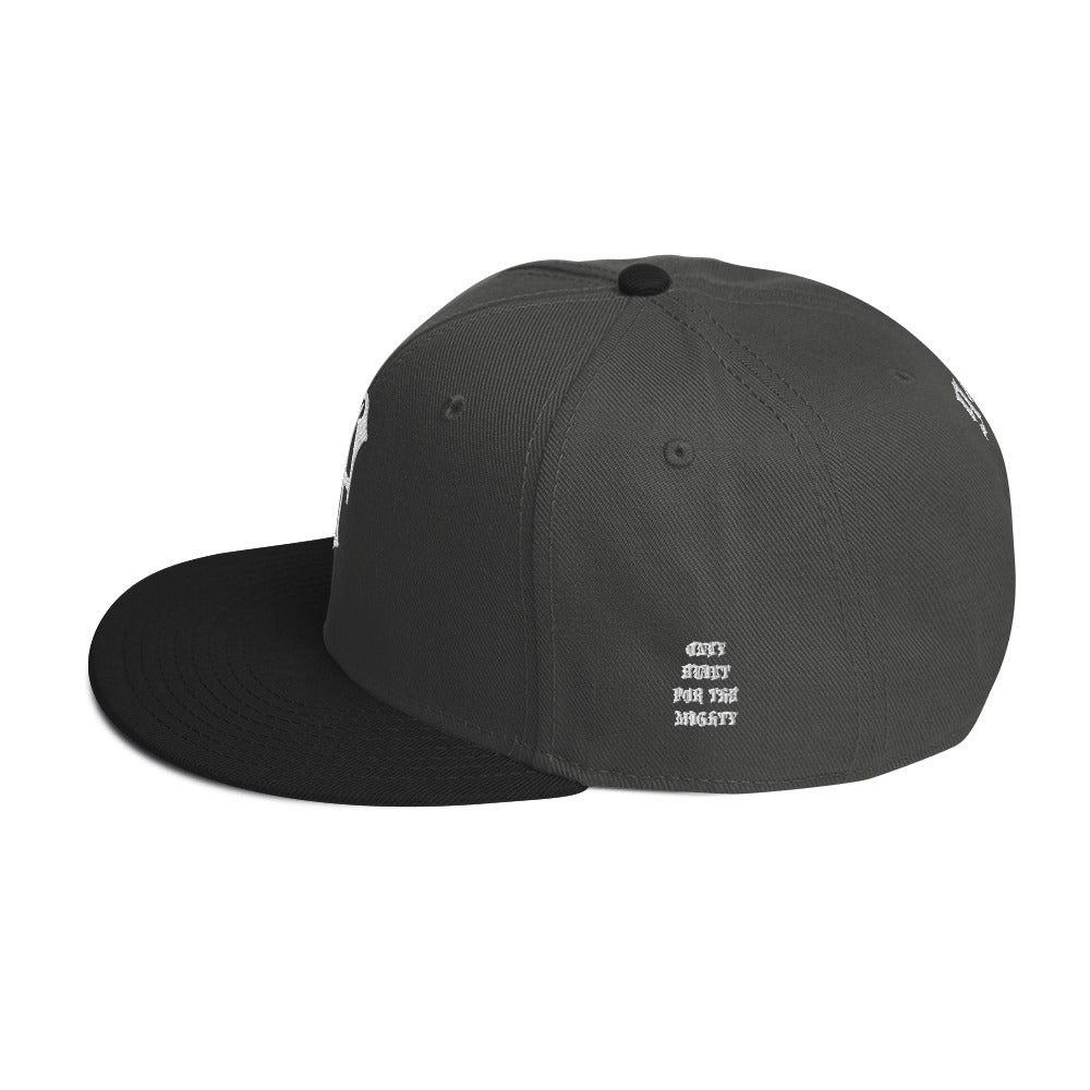 FLYWLKR "OBFTM" Snapback Hat