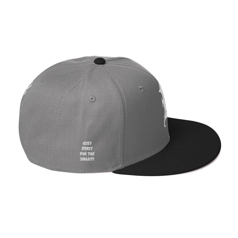 FLYWLKR "OBFTM" Snapback Hat