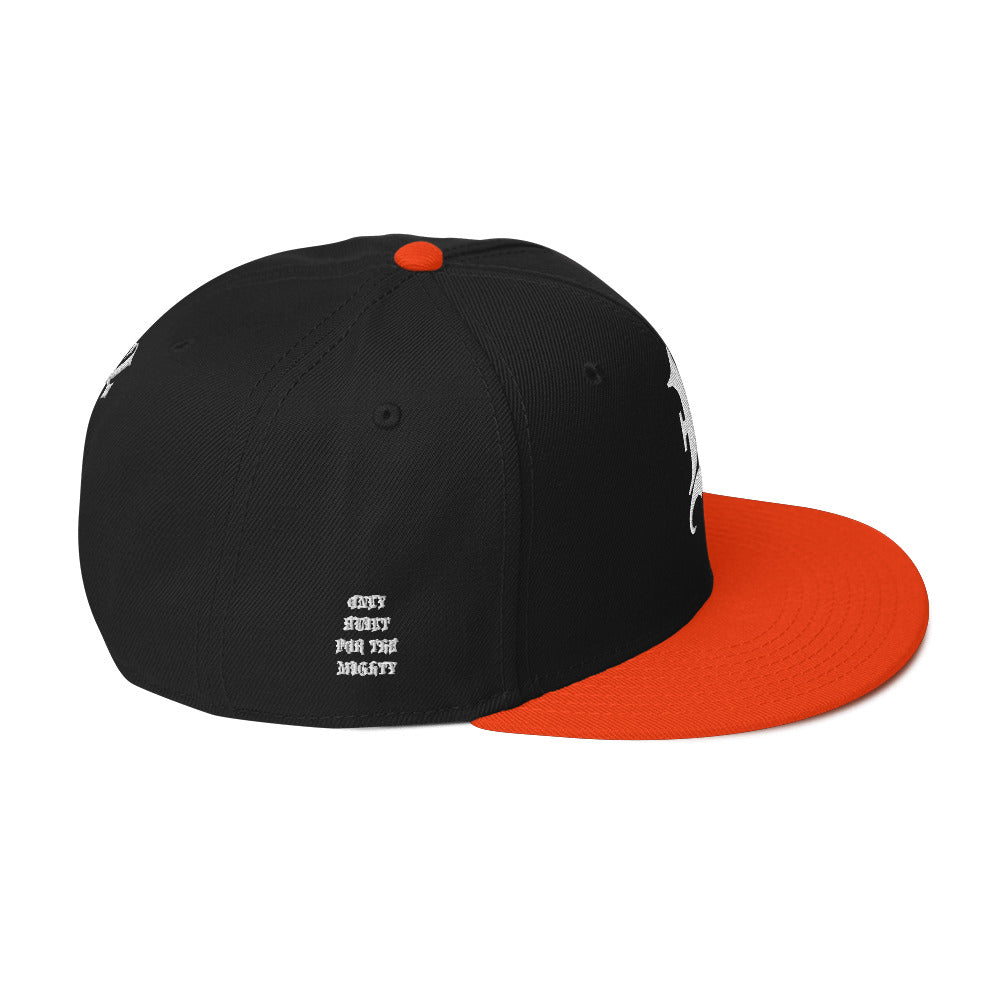 FLYWLKR "OBFTM" Snapback Hat