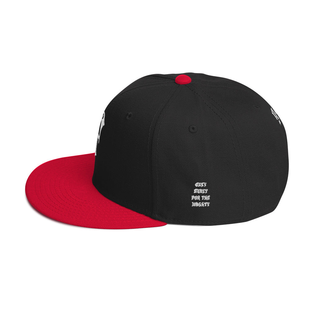 FLYWLKR "OBFTM" Snapback Hat